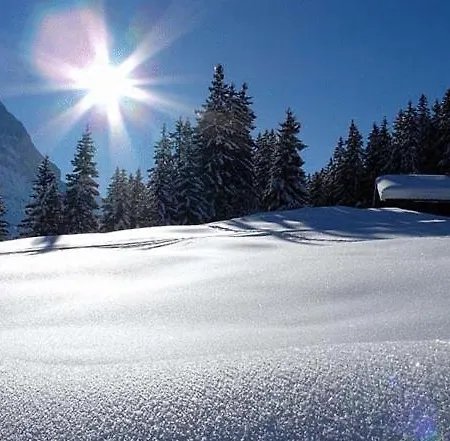 Steinbock Hotel 3*