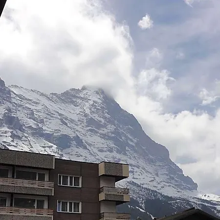 Steinbock Grindelwald