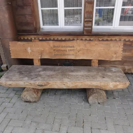 Steinbock 3* Grindelwald