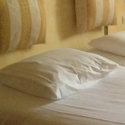 Steinbock 3* Grindelwald