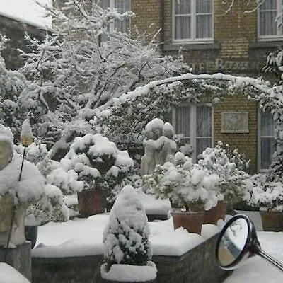 Steinbock Hotel Grindelwald