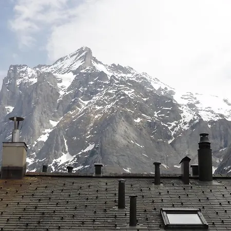 Steinbock Grindelwald