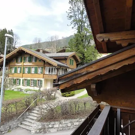 Steinbock 3* Grindelwald