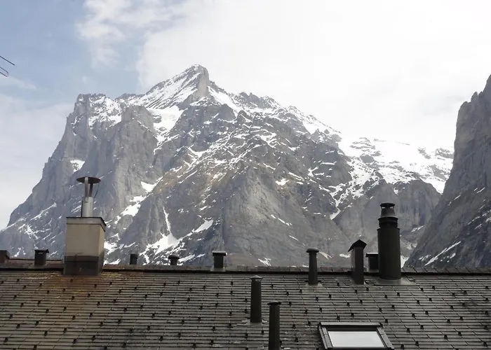 Steinbock Grindelwald