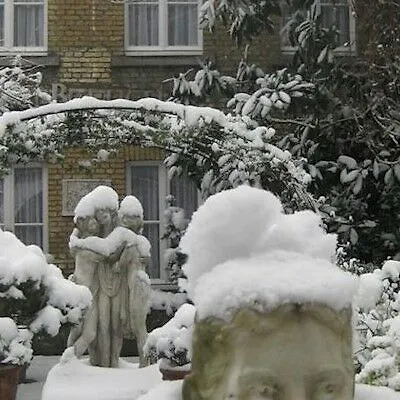 Steinbock Grindelwald